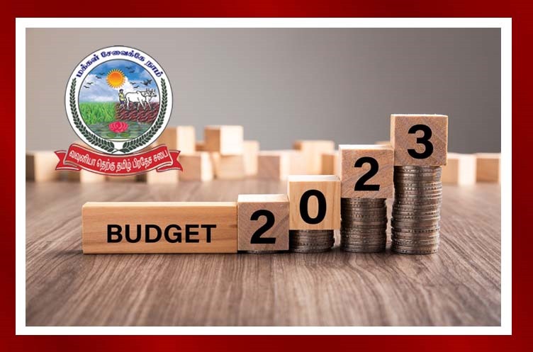 WhatsApp Image 2024-02-29 at 17.10.13