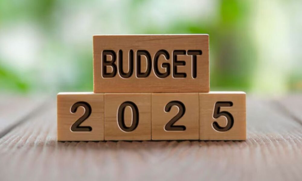 budget_26_11_24-1000x600