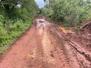 அனர்த்தத்தின் பின்னரான வீதி புனரமைப்பு மற்றும்  வடிகால் சீரமைப்பு  பணிகள் – 2025.12.17 –  சாளம்பைக்குளம்