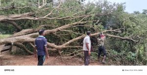 அனர்த்தத்தின் பின்னரான போக்குவரத்து சீரமைப்பு மற்றும் சுத்திகரிப்பு     பணிகள் – 2025.12.15 –  ஆறுமுகத்தான்புதுக்குளம்