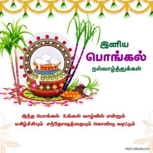 அனைவருக்கும் இனிய தைத்திருநாள் நல்வாழ்த்துக்கள்